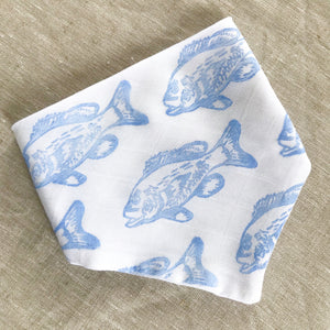 Fish Bib