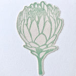 Waratah Card